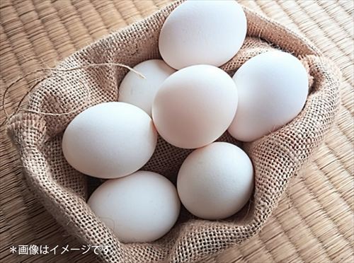 たまごの直売所「井上養鶏場」